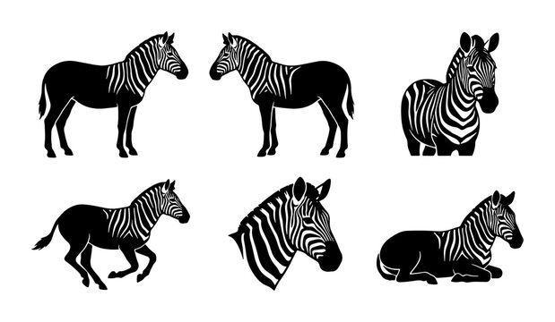 Zebra Vector Icons, Wildlife Animal Silhouettes, African Equine Graphics, Safari Mammal Illustrations