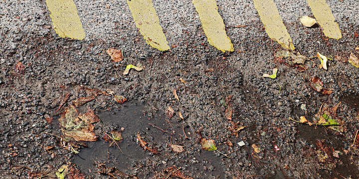 The bumpy asphalt surface with yellow painted markings, dried leaves strewn about, and patches of muddy water create a chaotic scene on the street