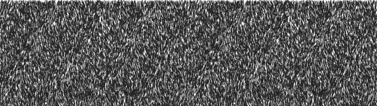 Dense black short brush strokes pattern creating thick organic fur texture on transparent and white.
