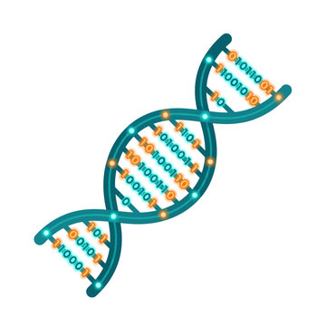 DNA strand composed of binary code represents digital genetics and bioengineering concepts.