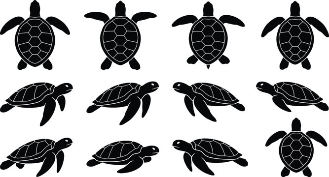 Set of black silhouette sea turtles in various swimming positions isolated on a white background