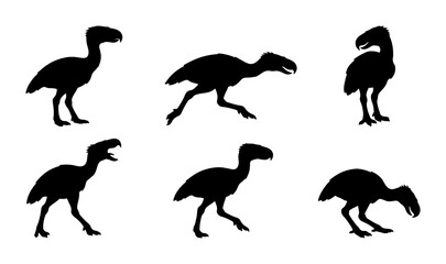 Fototapeta premium Dodo Bird Silhouettes, Extinct Animal Vector Icons, Prehistoric Creature Graphics, Vintage Wildlife Illustrations