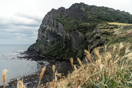 Coastal Cliffs of Seongsan Ilchulbong