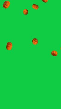 autumn 3d pumpkins falling isolated green screen 4k animation,chroma key pumpkin thanksgiving and Halloween celebration video stream overlay vertical social media motion design element