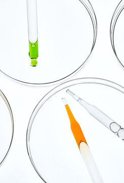 Laboratory Glass Pipettes with Colorful Liquids in Petri Dishes.