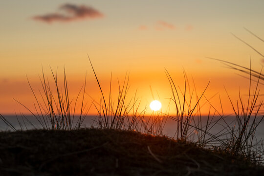 Sunset through grass