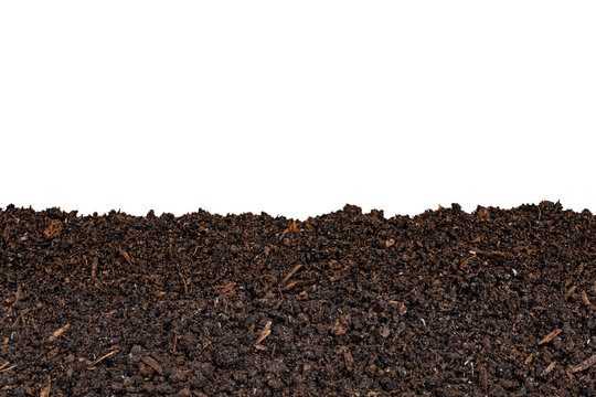 Fertile dark brown organic soil compost border frame bottom edge isolated on transparent background for gardening