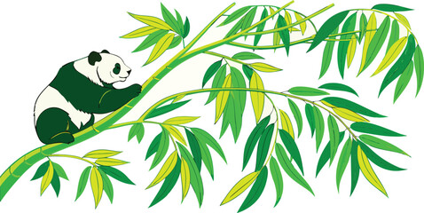 Cute panda bear climbing on green bamboo branches in a lush natural forest © Template store 