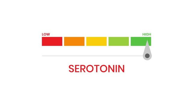 Serotonin level meter gauge 4K animation with progress indicator and performance infographic