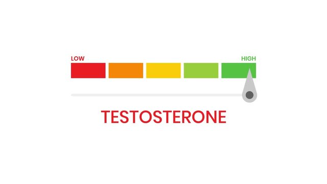 Testosterone level meter gauge 4K animation with progress indicator and performance infographic