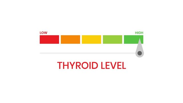 Thyroid levels level meter gauge 4K animation with progress indicator and performance infographic