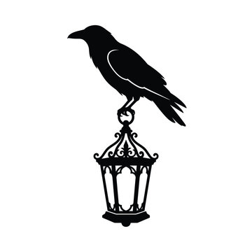 Halloween, Gothic raven silhouette perched on vintage street lantern, black crow vector graphic emblem, mysterious bird lamp icon for halloween design isolated on White Background