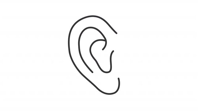 Animated human ear outline icon. Hearing health and wellness animation. Audiology studying body part. Sensory perception diagnostics. Flat line motion graphic loop on transparent white