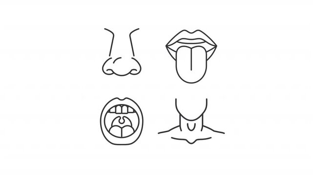 Animated facial body parts outline icons. Physique of human animation set. ENT medical consultation. Healthcare service and diagnostics. Flat line motion graphics loop on transparent white