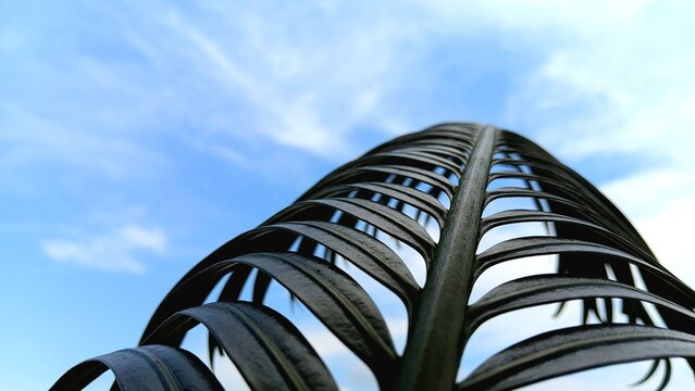 Low angle view of green palm leaf or cycad leaf texture against a blue sky with clouds
