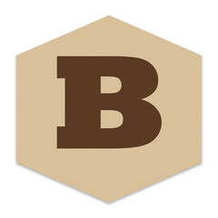 Letter b brown alphabet character inside a simple beige hexagon shape icon design © MST LOVELY BEGUM
