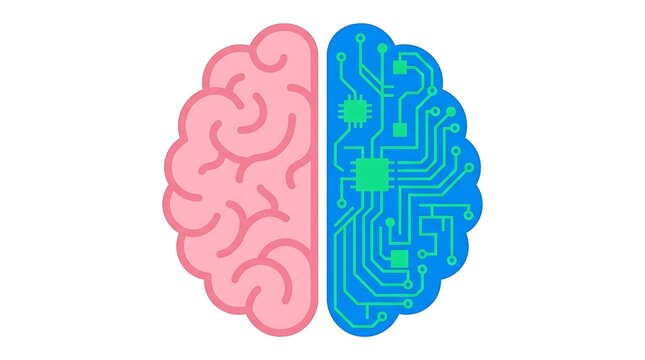 Human brain illustration with biological left side and digital circuit right side