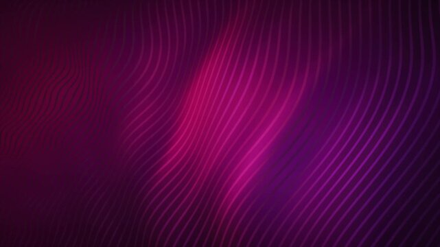 Abstract purple background video loop with colorful gradient lines. Graphics waves moving in a smooth transition of colors