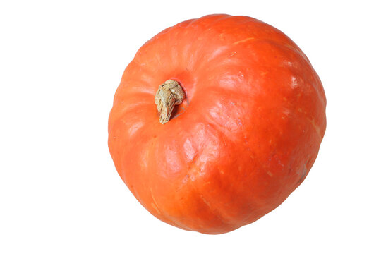 orange hokkaido pumpkin isolated on transparent background, autumn decoration design