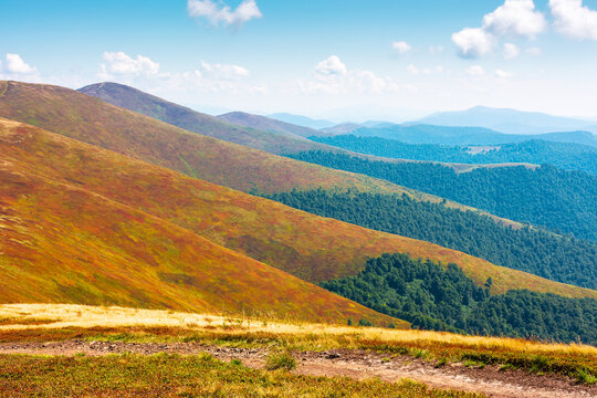 alpine nature of Carpathian mountain range in early autumn. colorful slopes of Ukrainian highland landscape