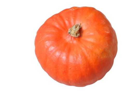 orange hokkaido pumpkin isolated on transparent background, autumn decoration design