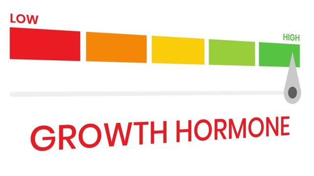 Growth hormone gauge level 4k animation progress indicator  from low to high