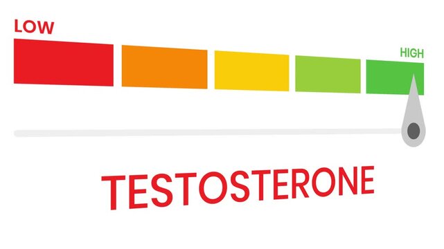 Testosterone gauge level 4k animation progress indicator  from low to high