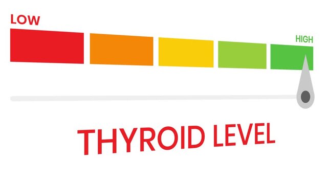 Thyroid level gauge level 4k animation progress indicator  from low to high