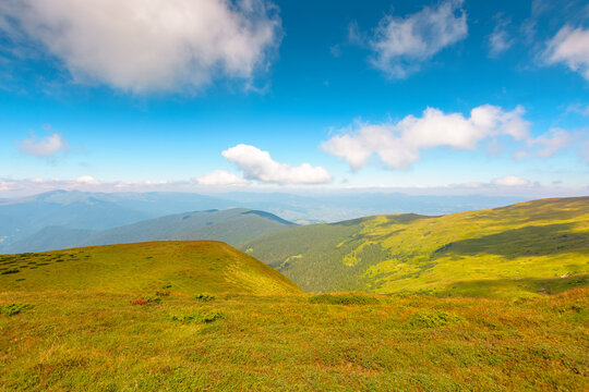 mountainous countryside landscape in summer. grassy meadow on top of a hill. mountain ridge with forested slopes in the distance. sunny weather with clouds on the blue sky
