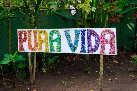 Vibrant Pura Vida sign surrounded by lush tropical vegetation, symbolizing Costa Rica&rsquo;s relaxed lifestyle, culture, and welcoming spirit.