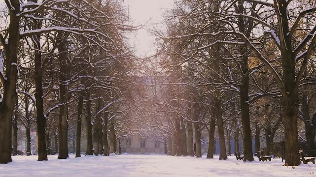 Verschneiter Weg im M&uuml;nchner Hofgarten mit Blick auf die Residenz bei Sonnenschein