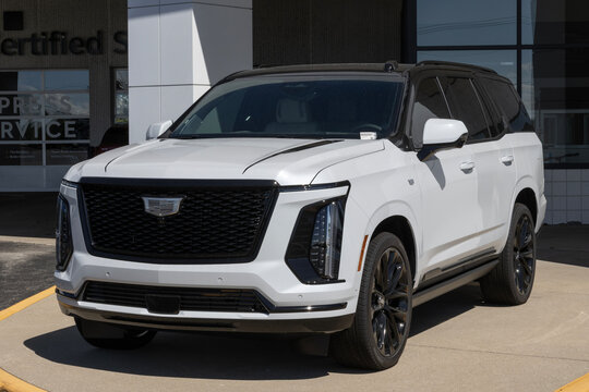 Cadillac Escalade Platinum Sport AWD Full-Size SUV at a dealer. Cadillac offers the Escalade with a 6.2L V8 engine. MY:2026