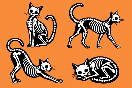 Set of Halloween Cat Skeletons in vector for invites, stationery, stickers and other print graphics