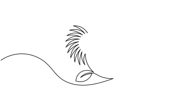Modern blooming sunflower icon sign continuous one line drawing on white background minimalist single art ecological of stylized blossom and leaf agricultural symbol animation video