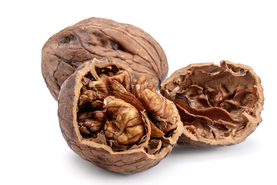 Open walnut with shell and kernel isolated on white background showing natural healthy food ingredient