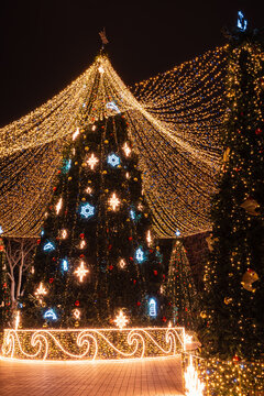 Illuminated Christmas trees covered with festive lights creating a magical scene at night