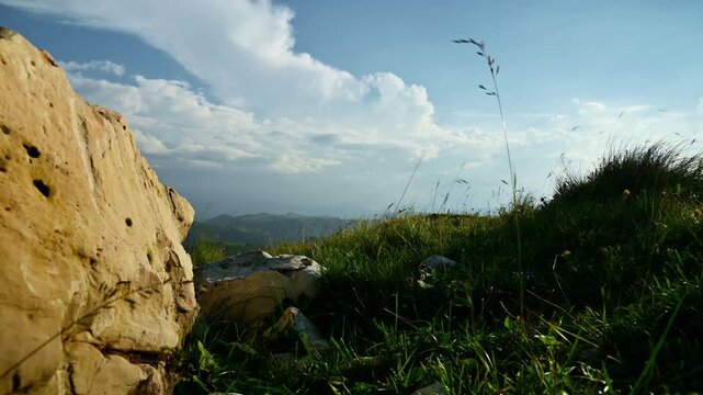 Grass blowing in wind on mountain ridge