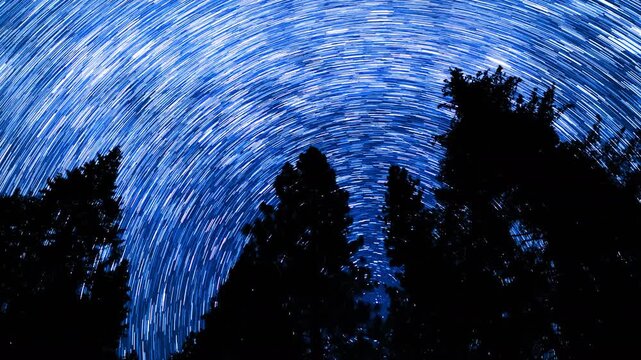 Sequoia National Park Star Trails of Milky Way Galaxy Perseids Meteor Shower Forest Astrophotography Night Sky Time Lapse in California USA