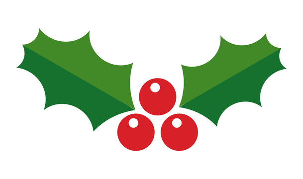 Christmas holly berry plant icon. Holiday design element. PNG illustration.
