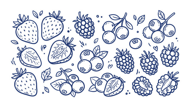 Set of hand drawn sketch berries like strawberry blueberry and raspberry with leaves isolated in a doodle art style
