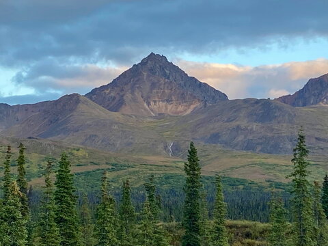 Beautiful symmetrical mountain under cloudy blue sky near forest of evergreen trees