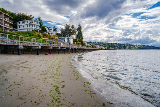Washington Shoreline Boardwalk 2