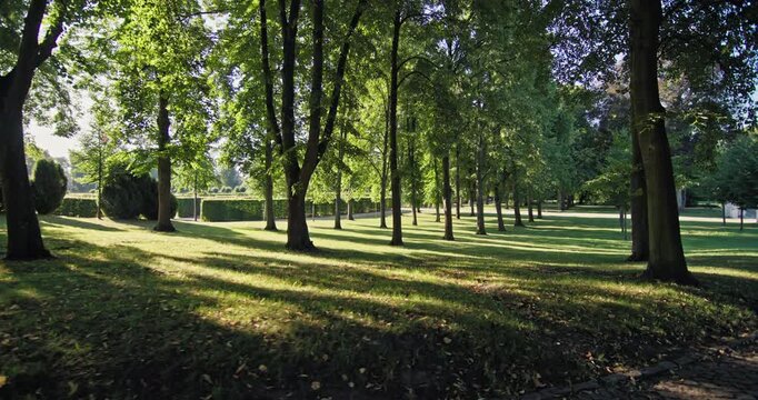 Sunlit trees and long shadows across a lawn in Sanssouci Park, Potsdam, Germany, in summer.