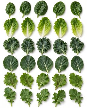 Vitamin K rich leafy greens