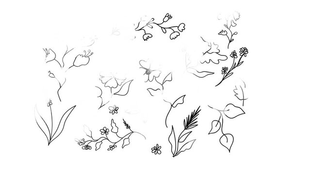 Minimalist hand drawn floral elements blooming in a seamless digital animation video loop for creative designs