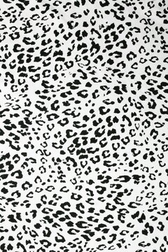 Seamless black and white leopard print pattern on a white background showcasing animal skin texture and wild feline design