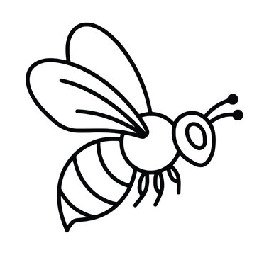 Flying bee sketch illustration, honey production and pollination symbol, environmental nature graphic, agricultural insect element, organic farming concept, vector design