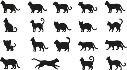 Obraz premium Various black cat silhouettes in walking sitting and standing poses isolated on transparent background.