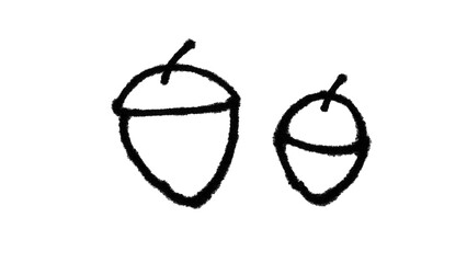 Hand Drawn Acorns – Black and White Doodle Line Art Illustration of Two Oak Nuts © Yasir