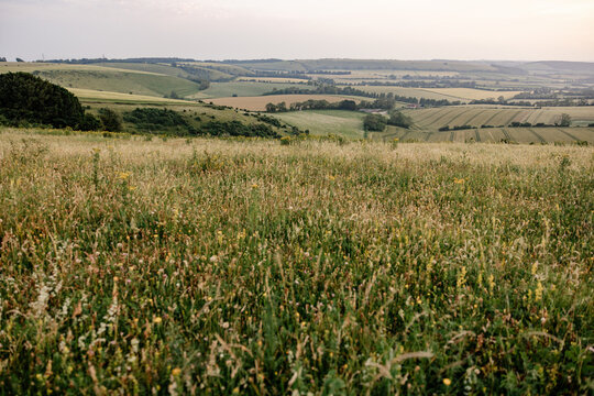 rolling green hills and farmland view across the south downs in summer